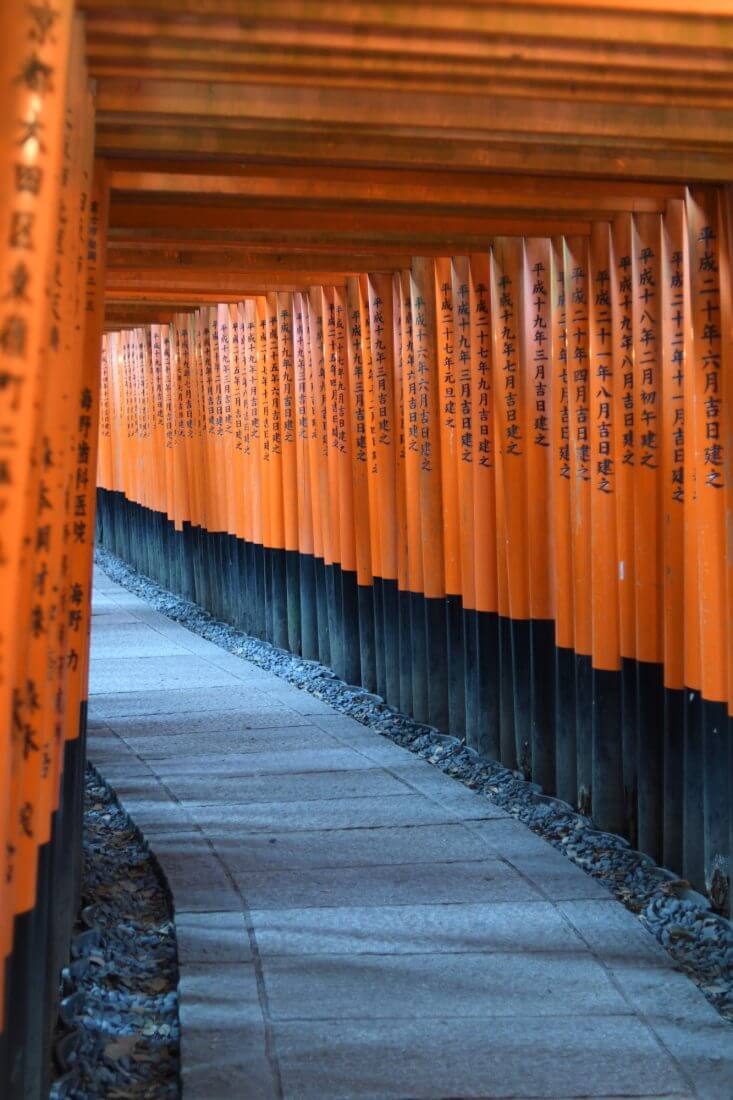 伏見稲荷の千本鳥居の中