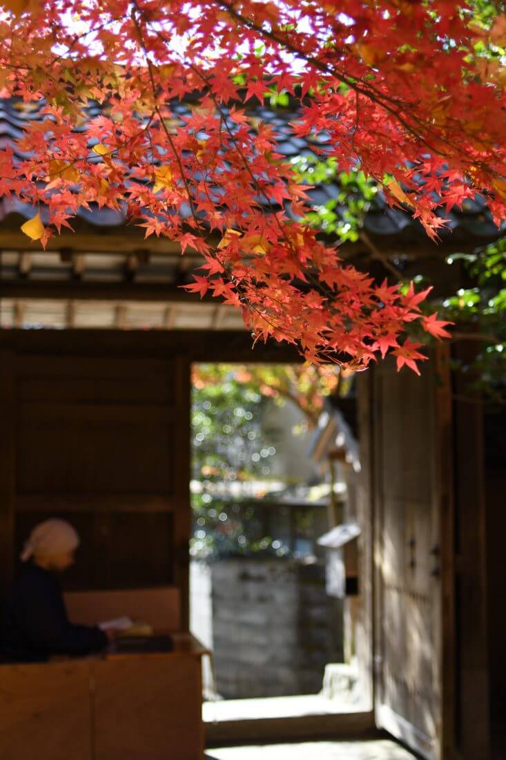 蓮華寺