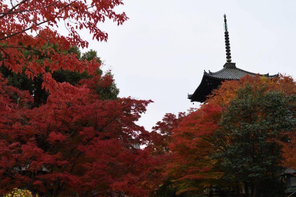 真如堂の紅葉