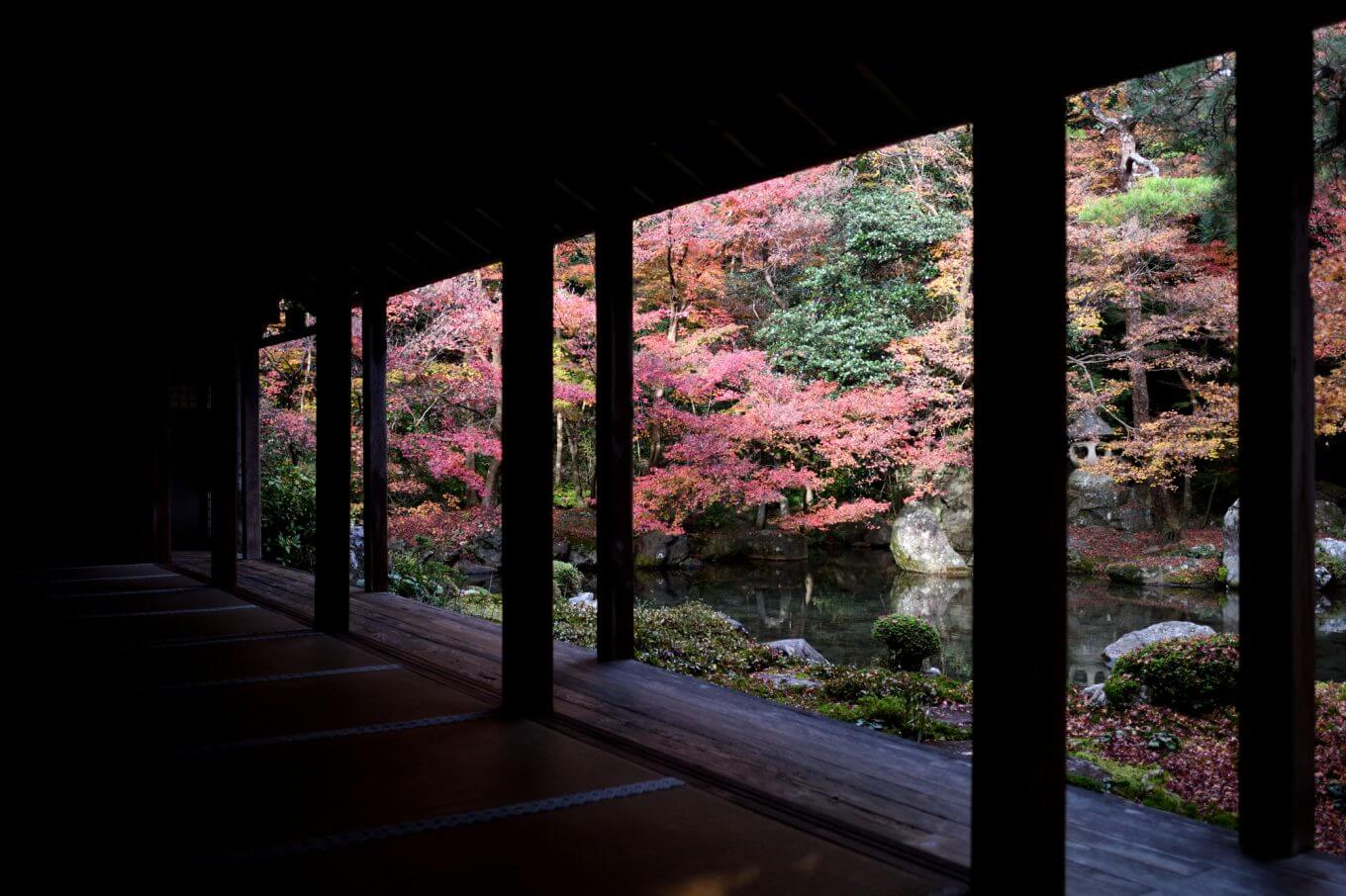 蓮華寺