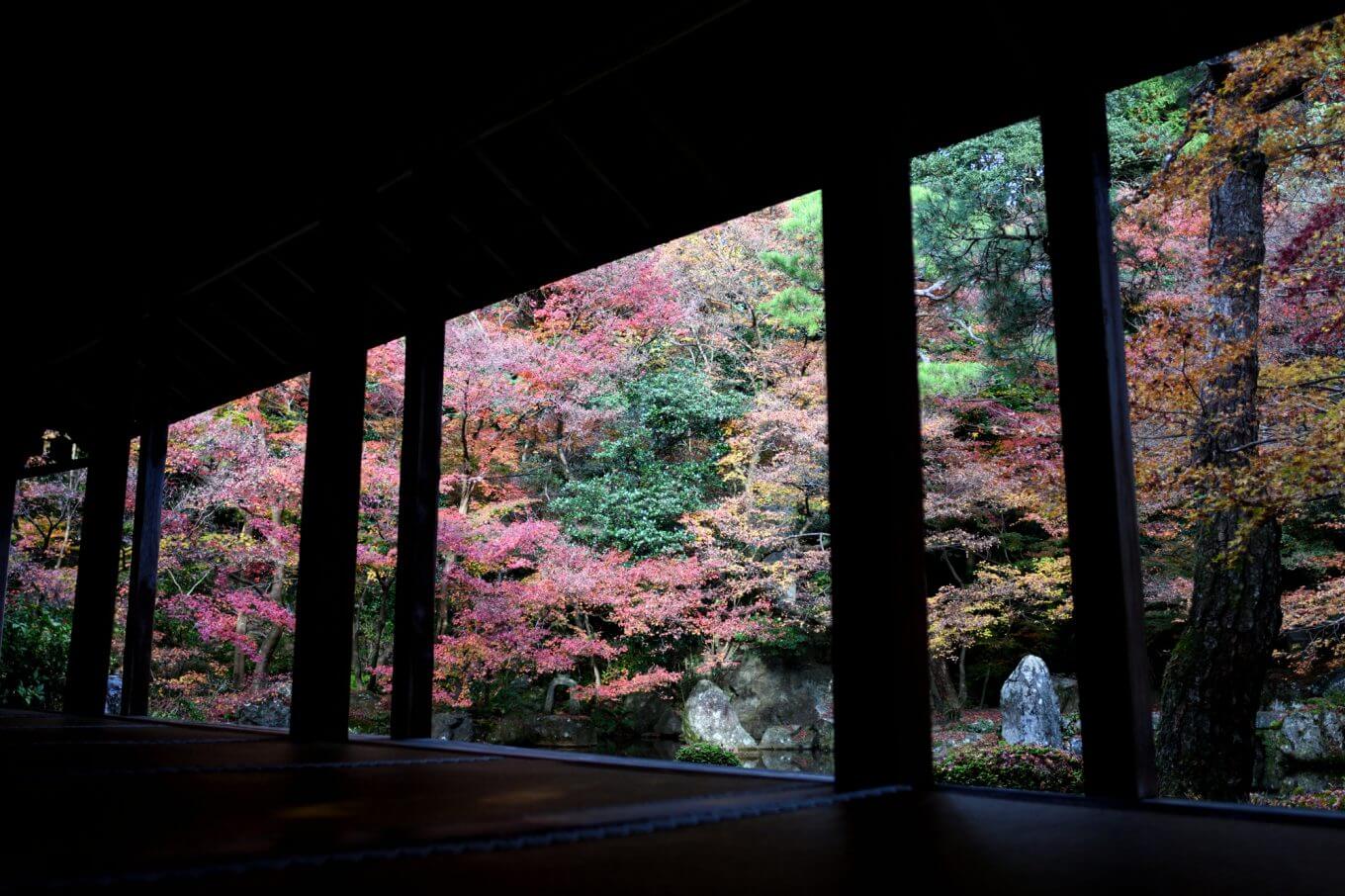 蓮華寺