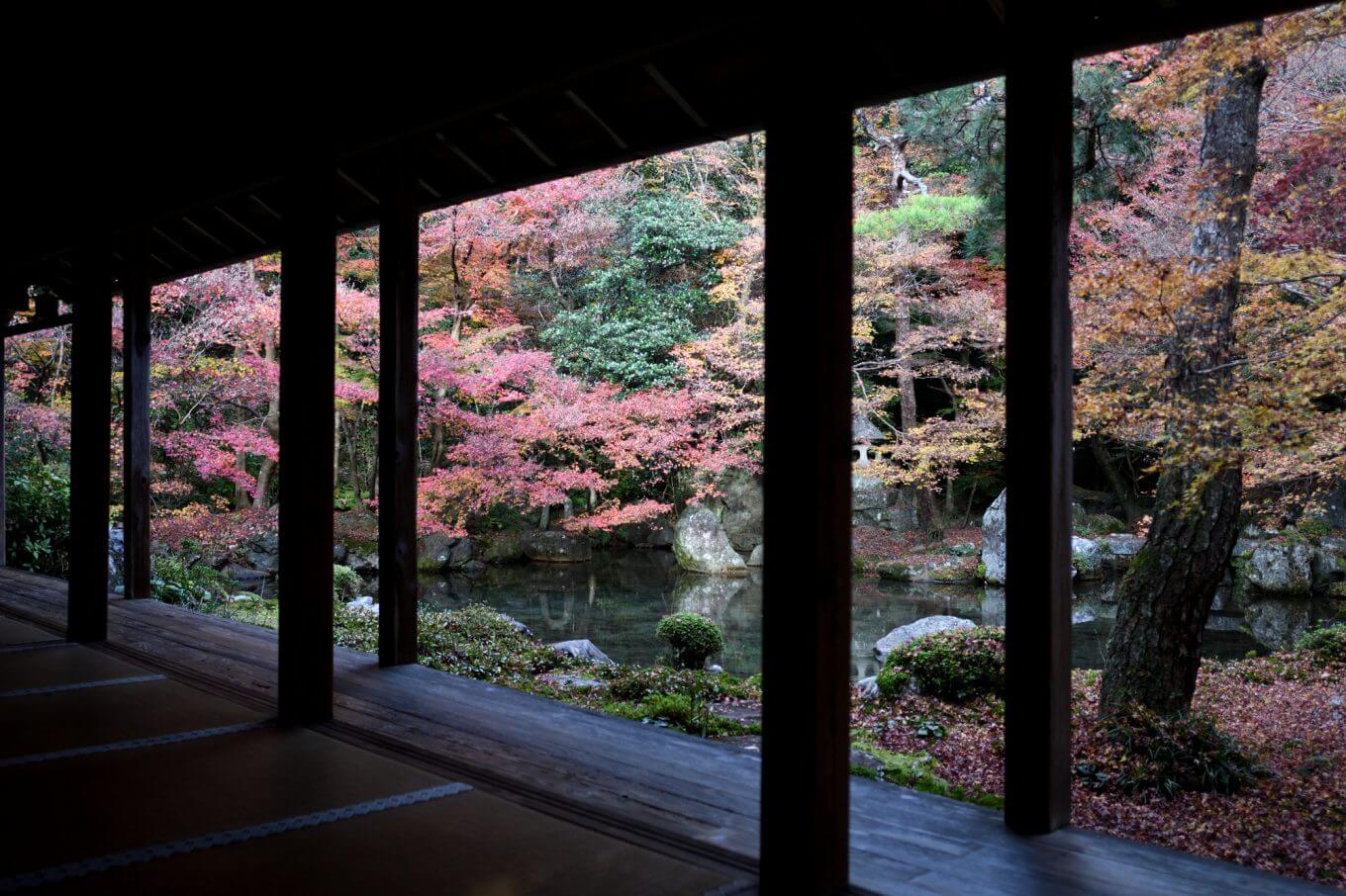 蓮華寺