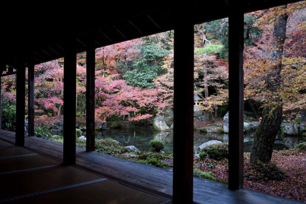 蓮華寺の額縁紅葉