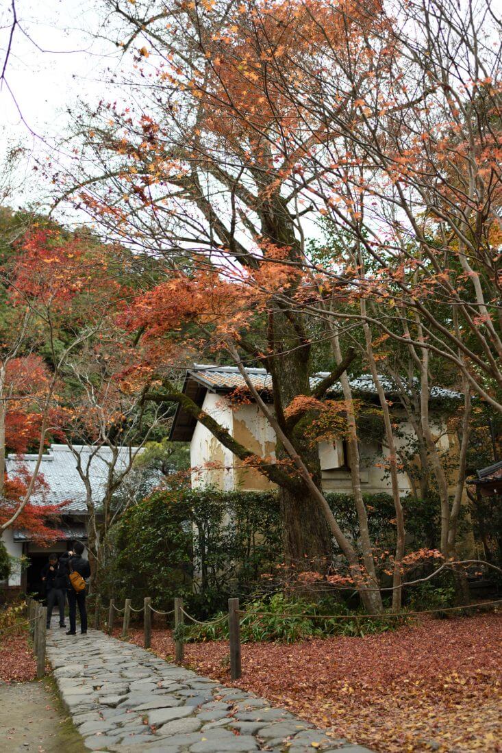 蓮華寺2016