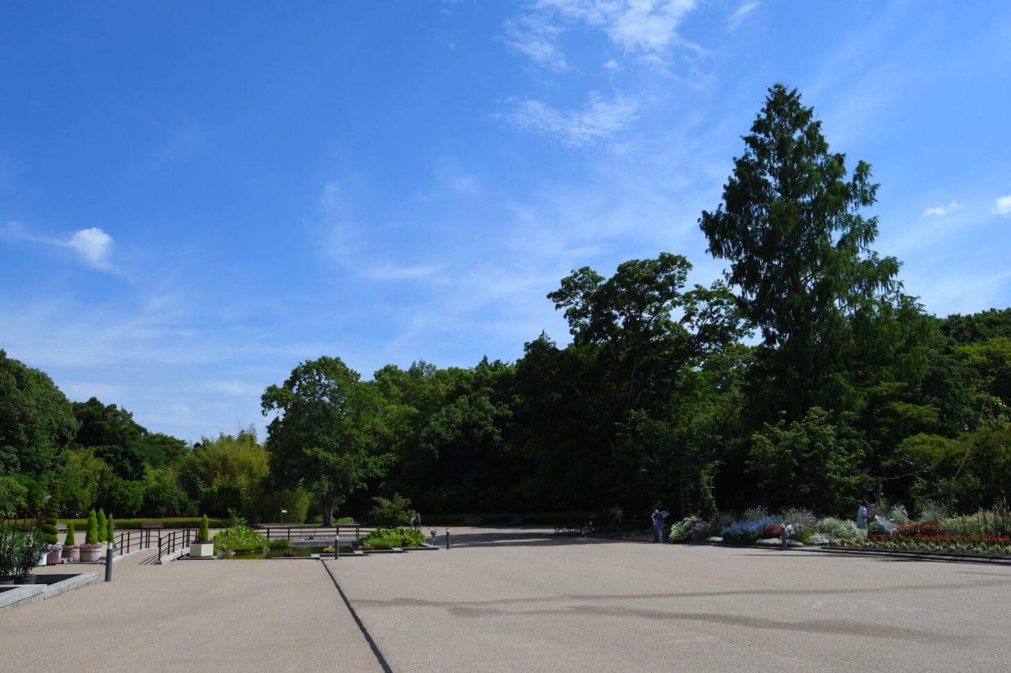 ガラガラの京都府立植物園