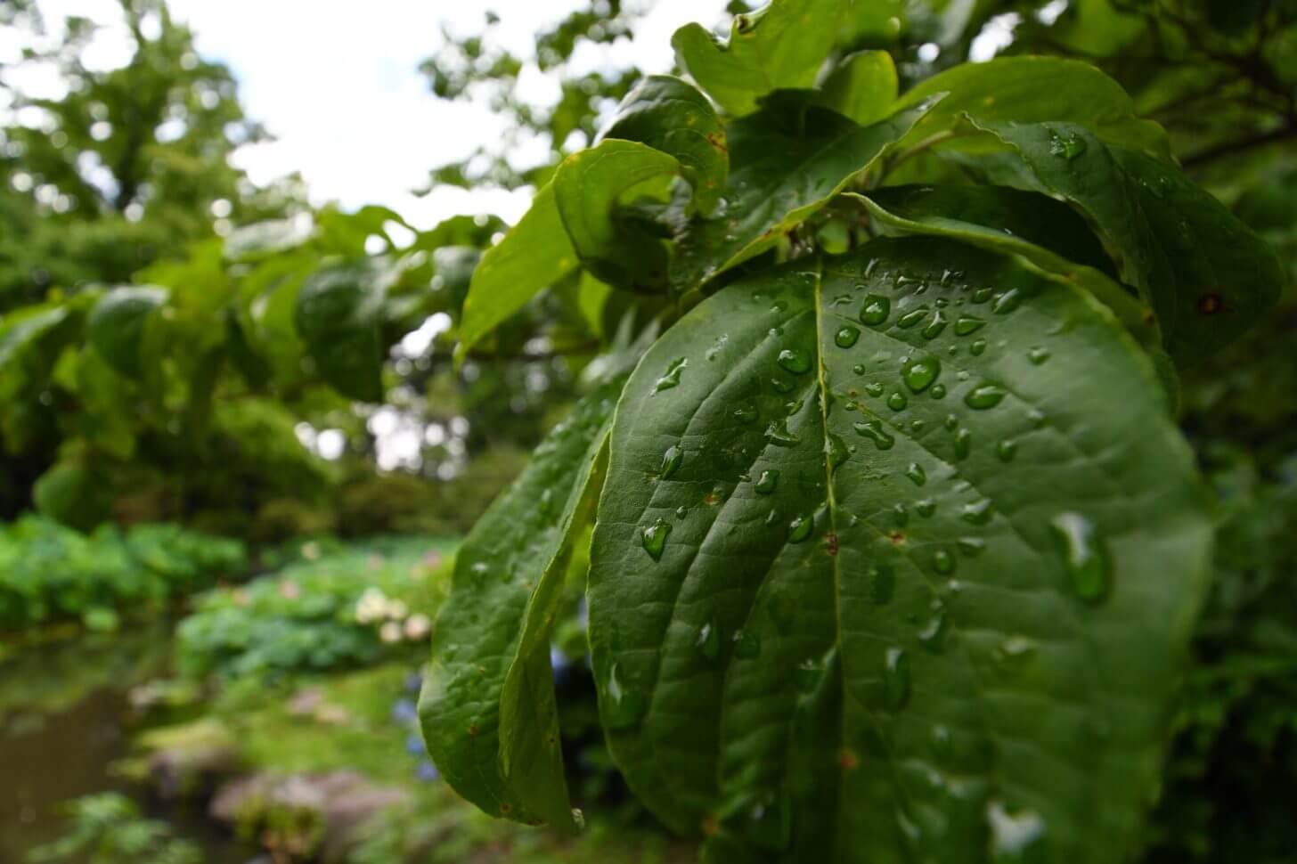 目一杯寄ってみた