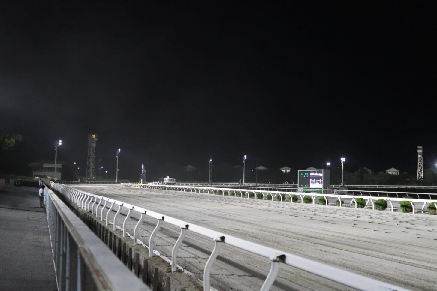 夜の高知競馬場のホームストレート