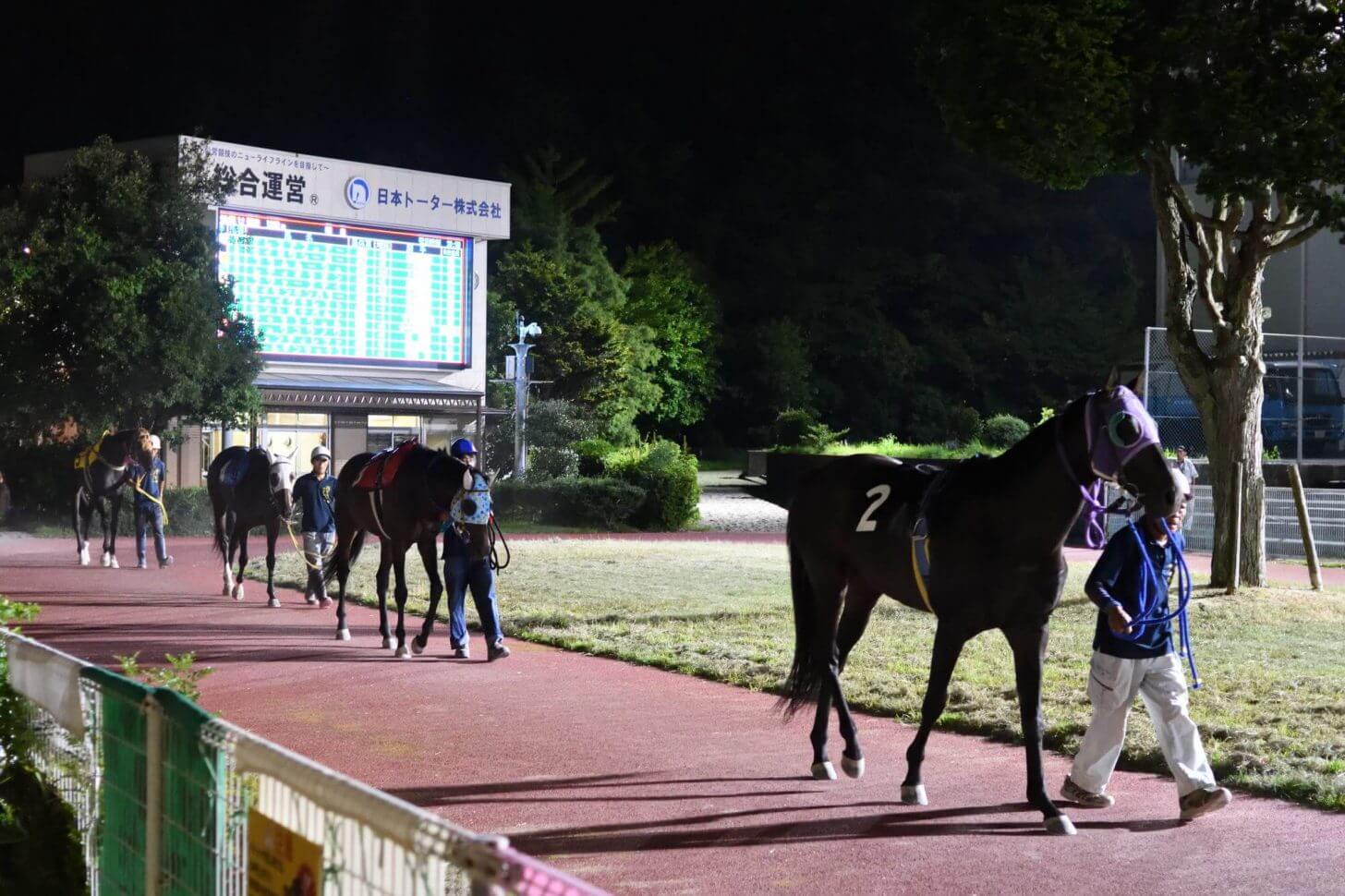 夜の高知競馬場のパドックを歩く馬