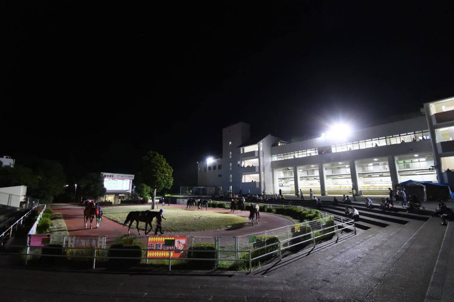 夜の高知競馬場のパドック