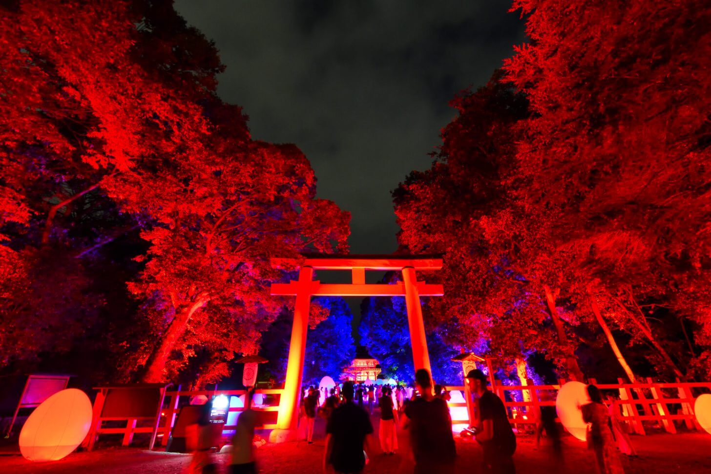 糺の森の光の祭2018 鳥居の写真