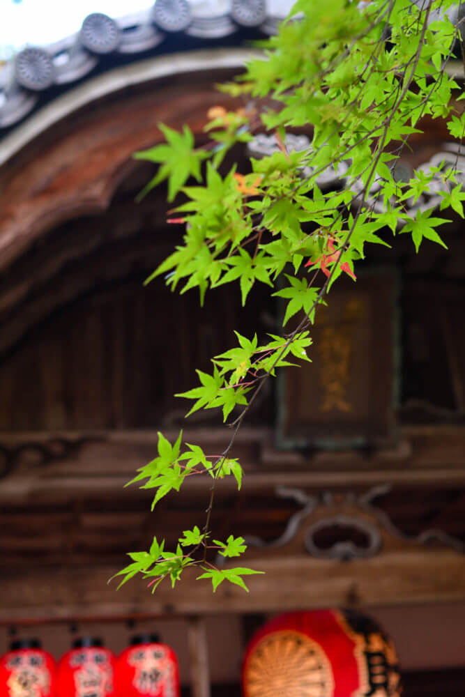 赤山禅院　弁財天前の紅葉