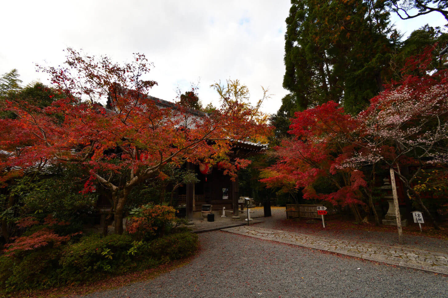 赤山禅院　地蔵尊周りの紅葉