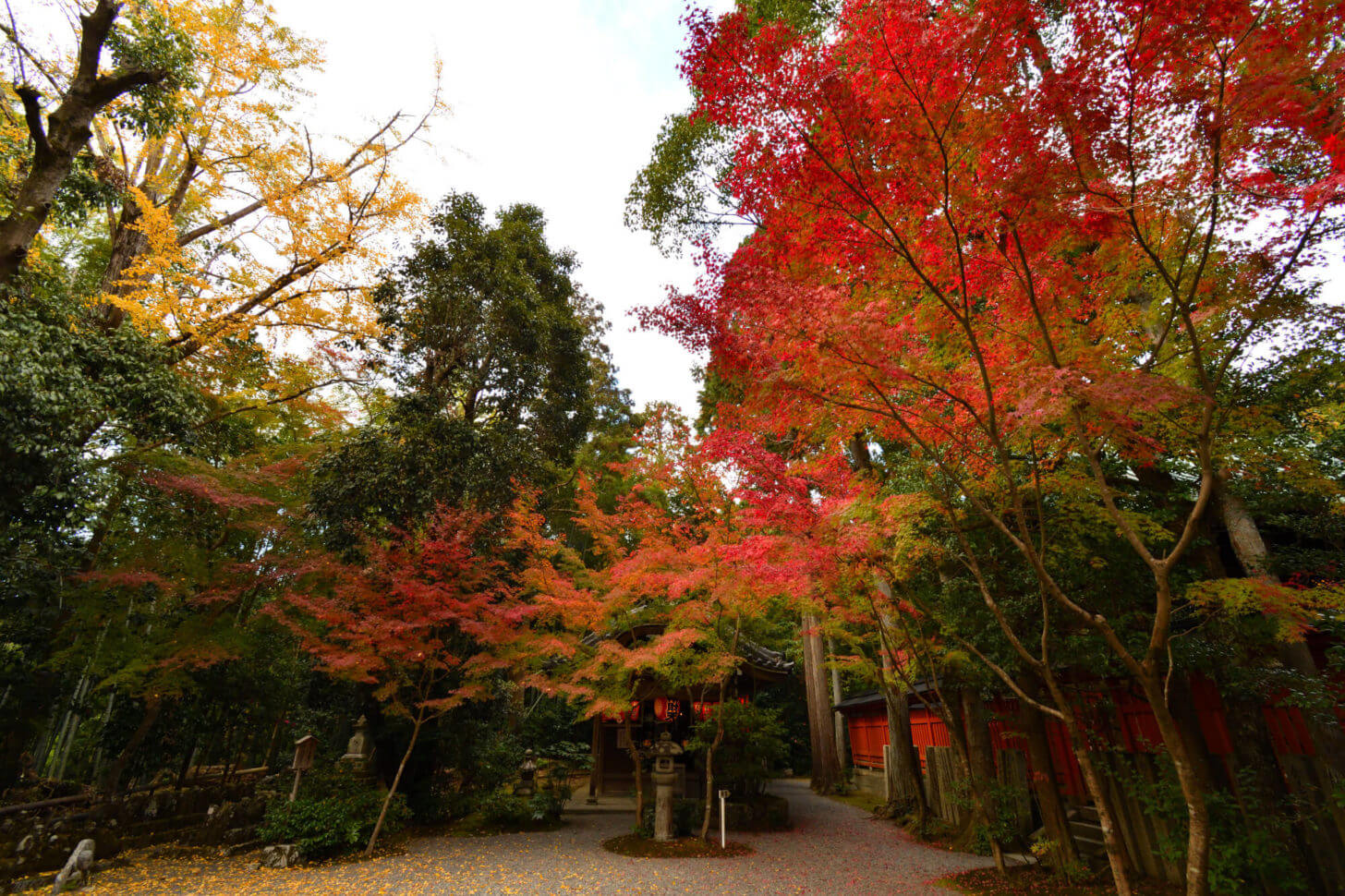 赤山禅院　弁財天前の紅葉