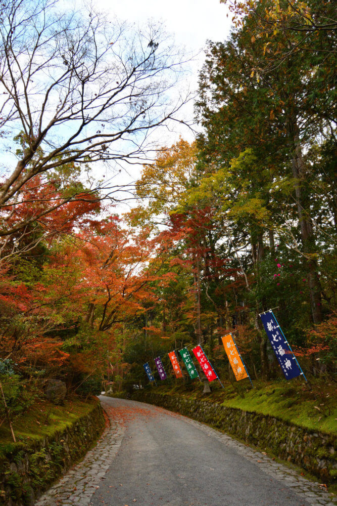 赤山禅院　参道の紅葉