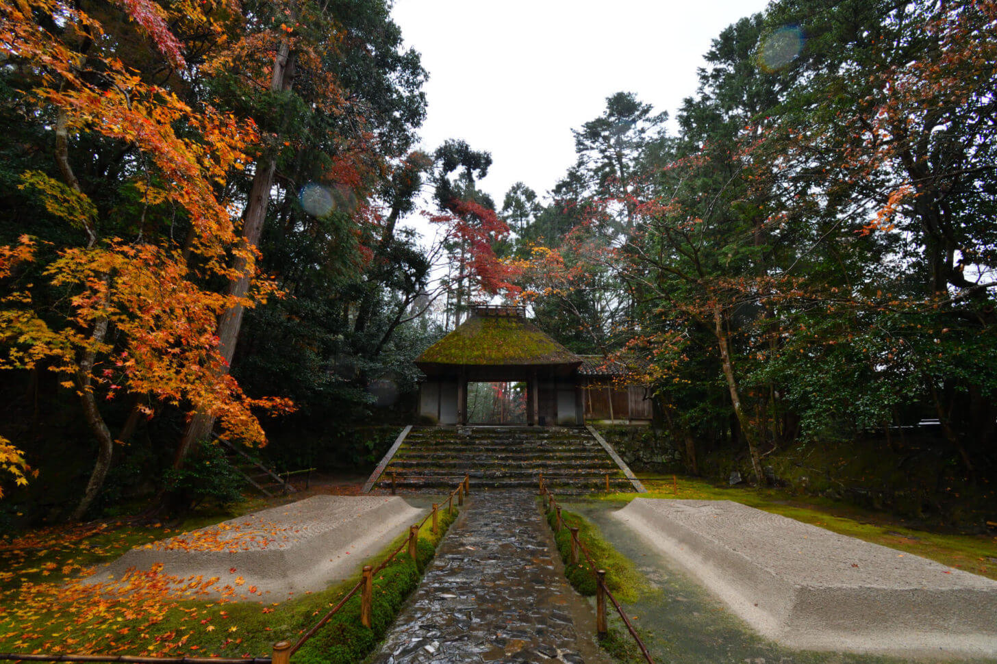 法然院の紅葉