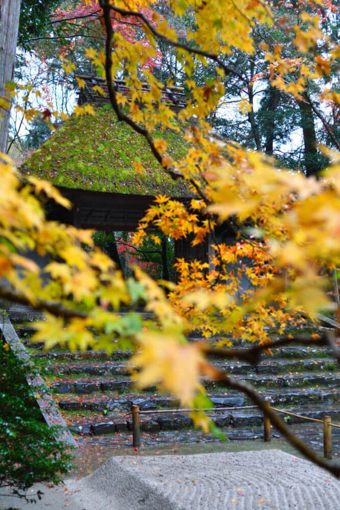 法然院の紅葉