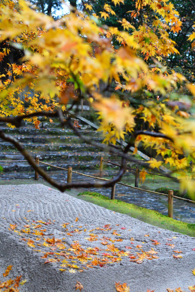 法然院の紅葉