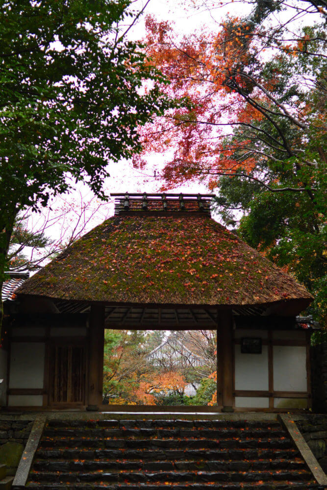 法然院の紅葉