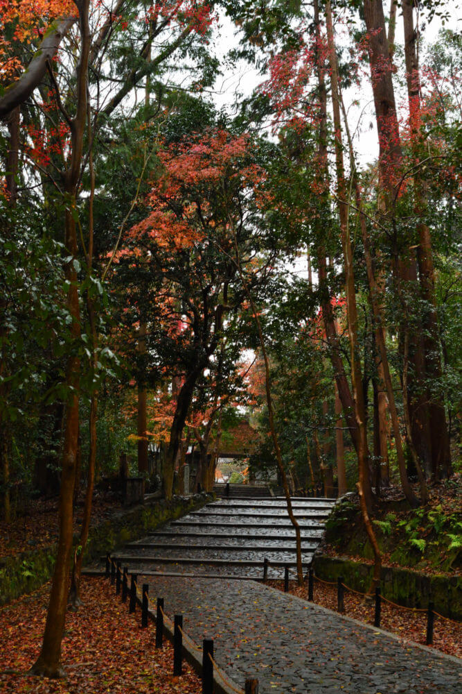 法然院の紅葉