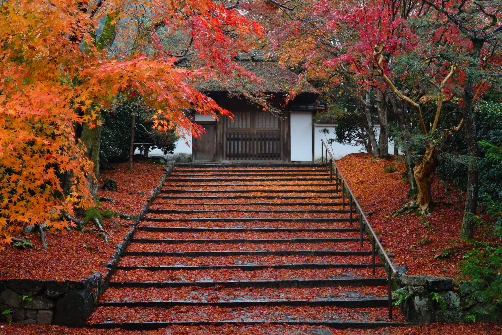 安楽寺の紅葉