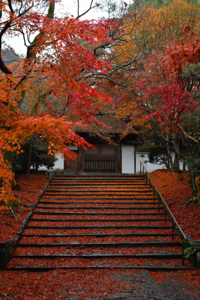 安楽寺の紅葉