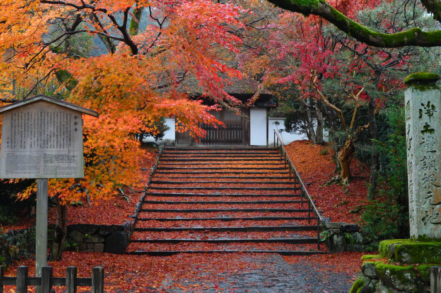 安楽寺の紅葉