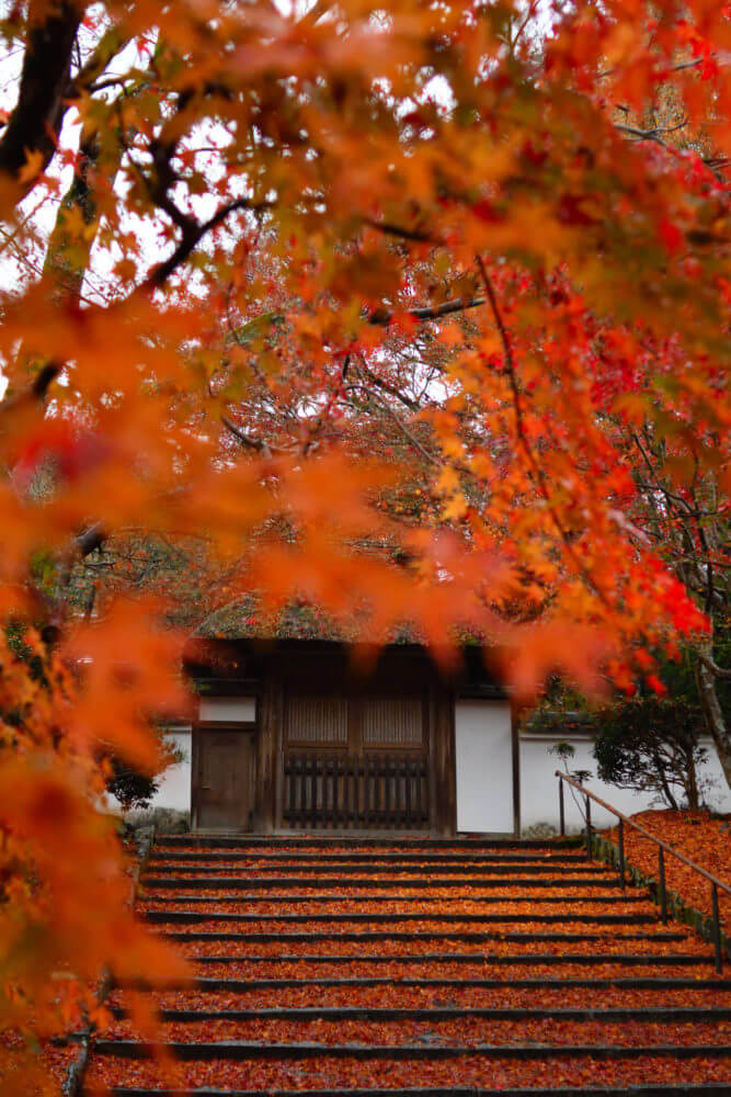 安楽寺の紅葉