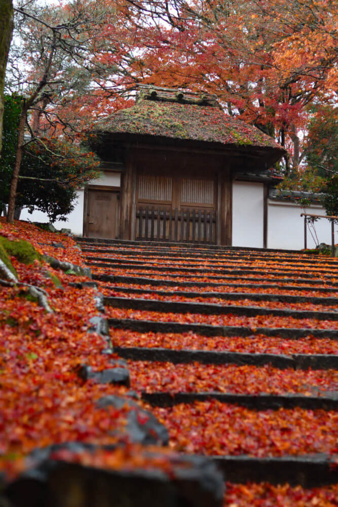 安楽寺の紅葉