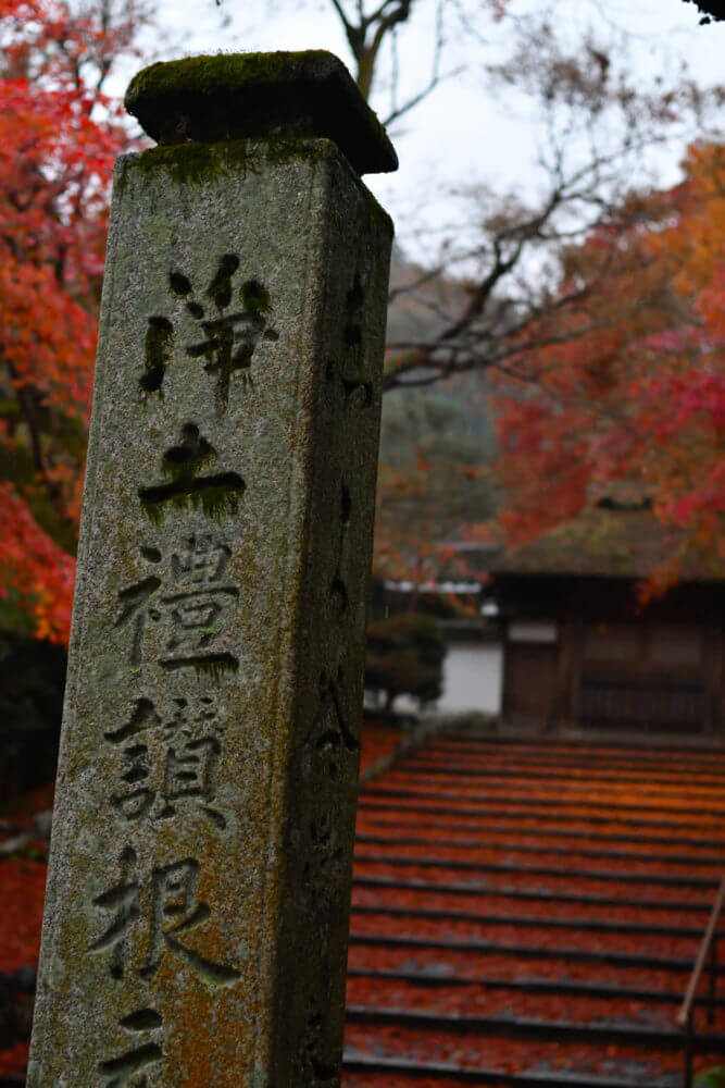 安楽寺の紅葉