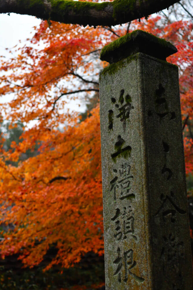 安楽寺の紅葉