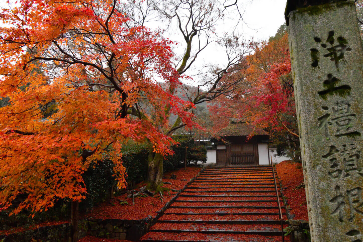 安楽寺の紅葉