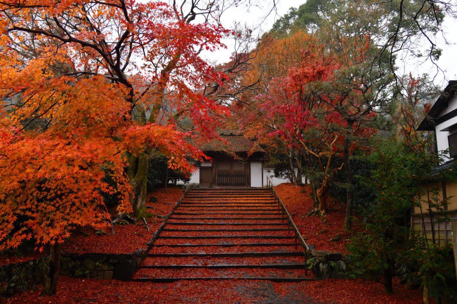 安楽寺の紅葉