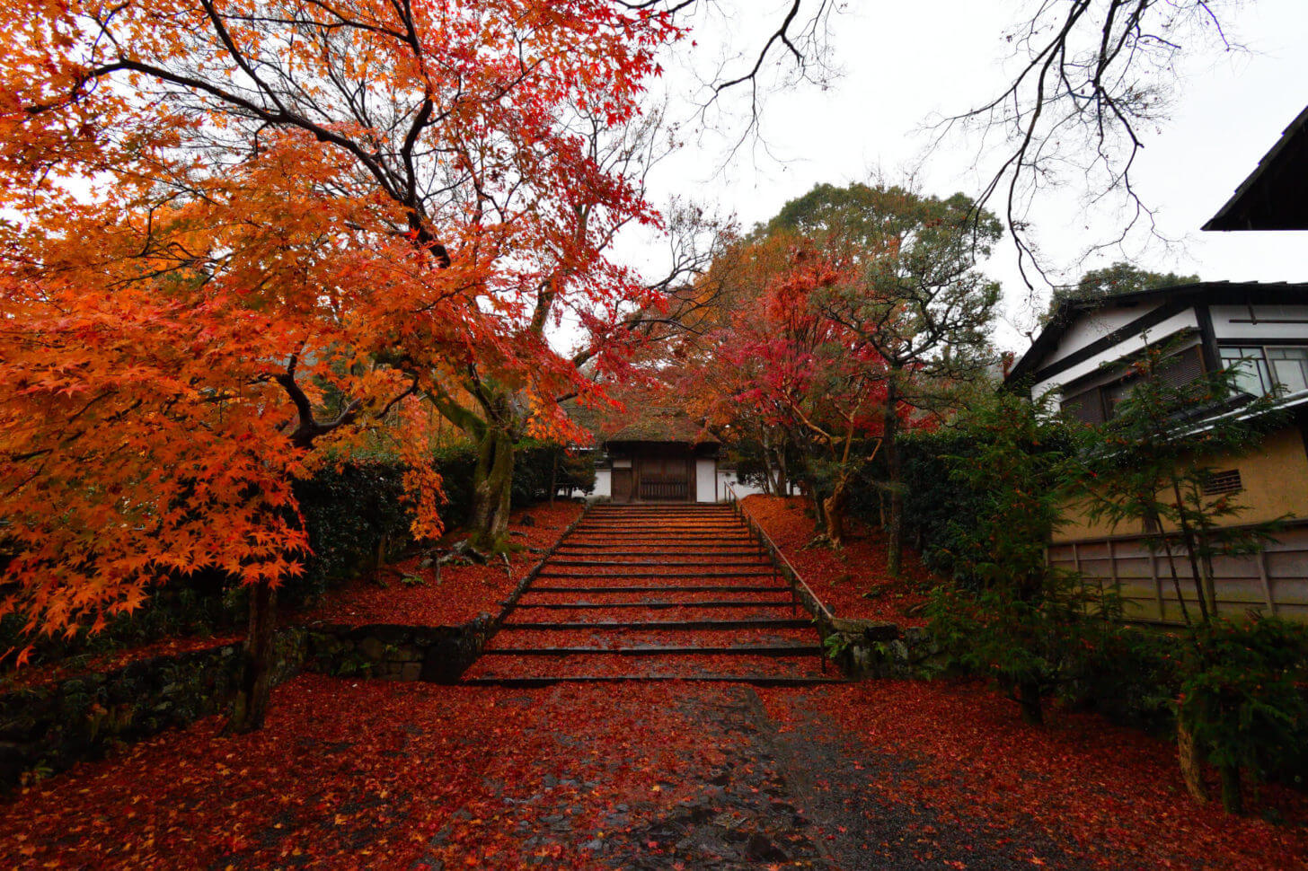 安楽寺の紅葉