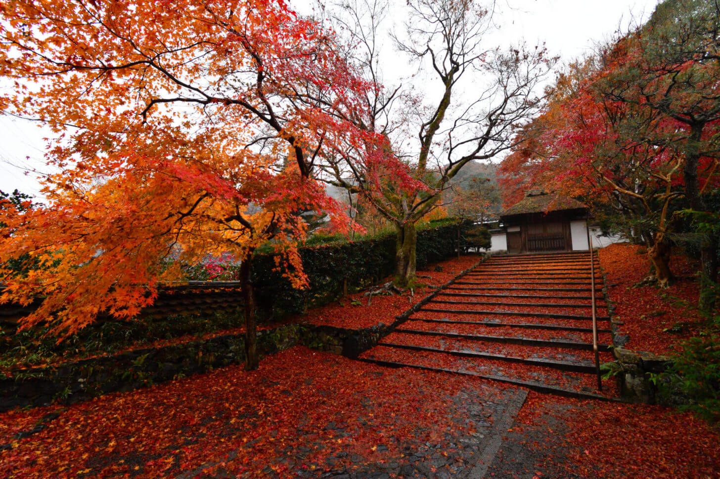 安楽寺の紅葉