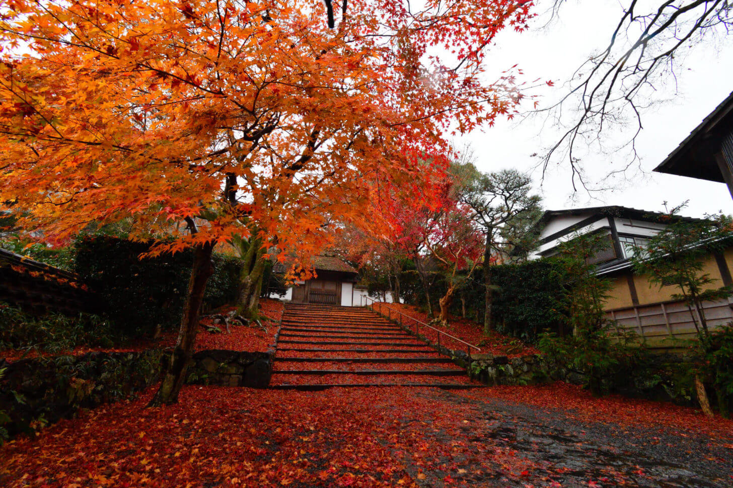 安楽寺の紅葉