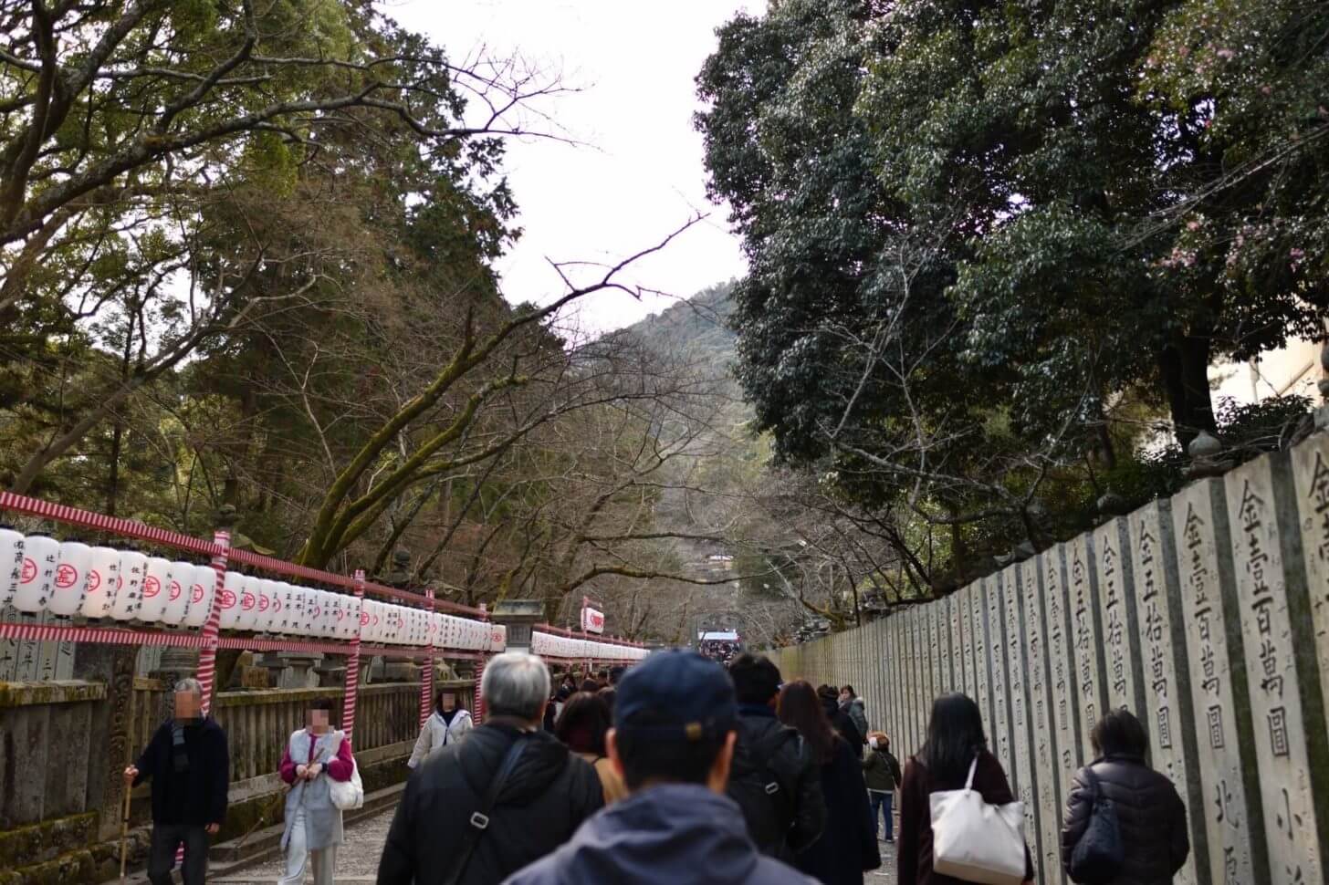 金刀比羅宮・桜馬場の桜並木