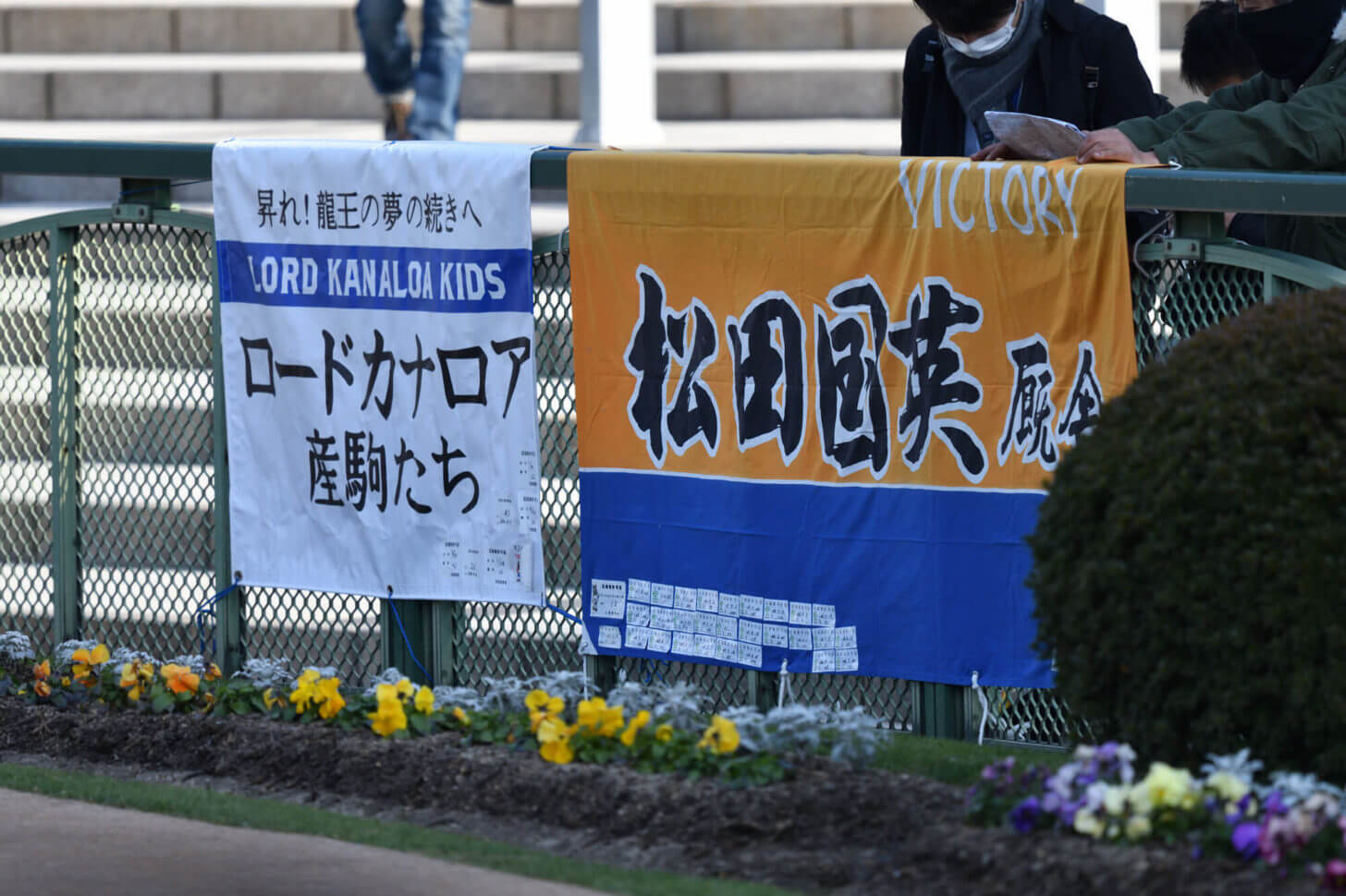 松国厩舎とロードカナロア産駒の横断幕