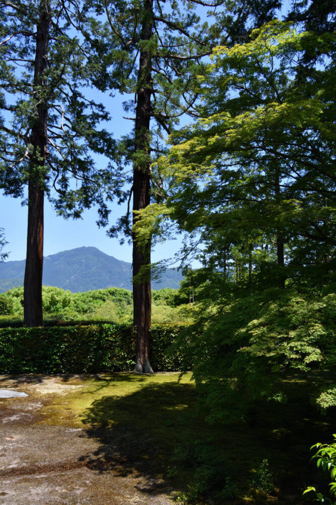 京都洛北・圓通寺の庭園