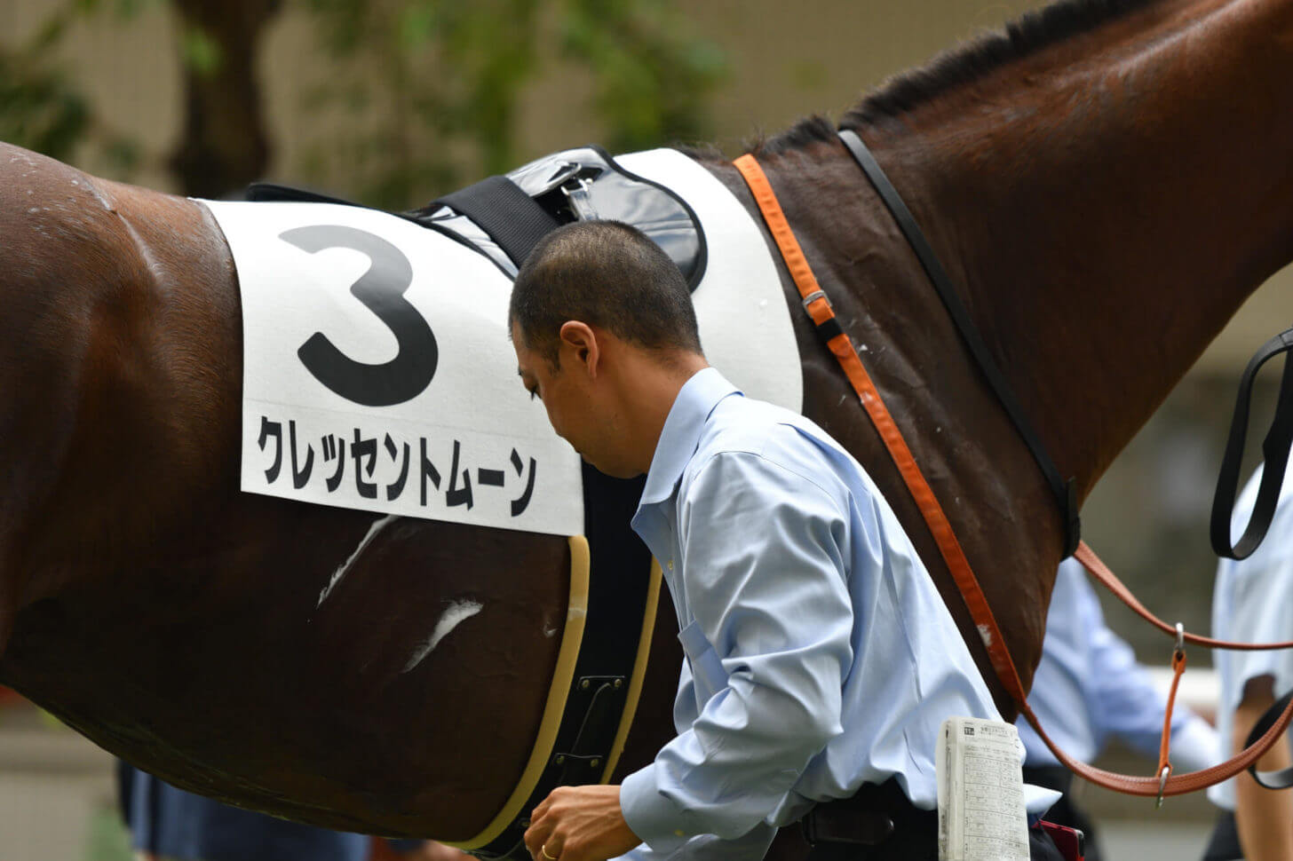 クレッセントムーン4戦目パドック