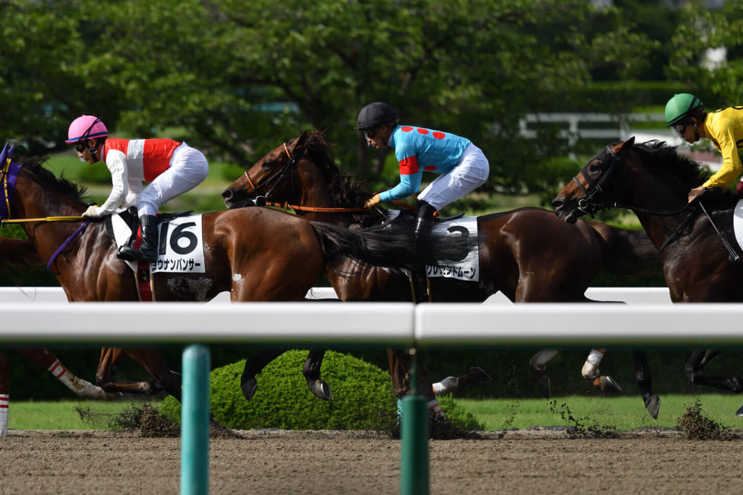 クレッセントムーン4戦目レース写真