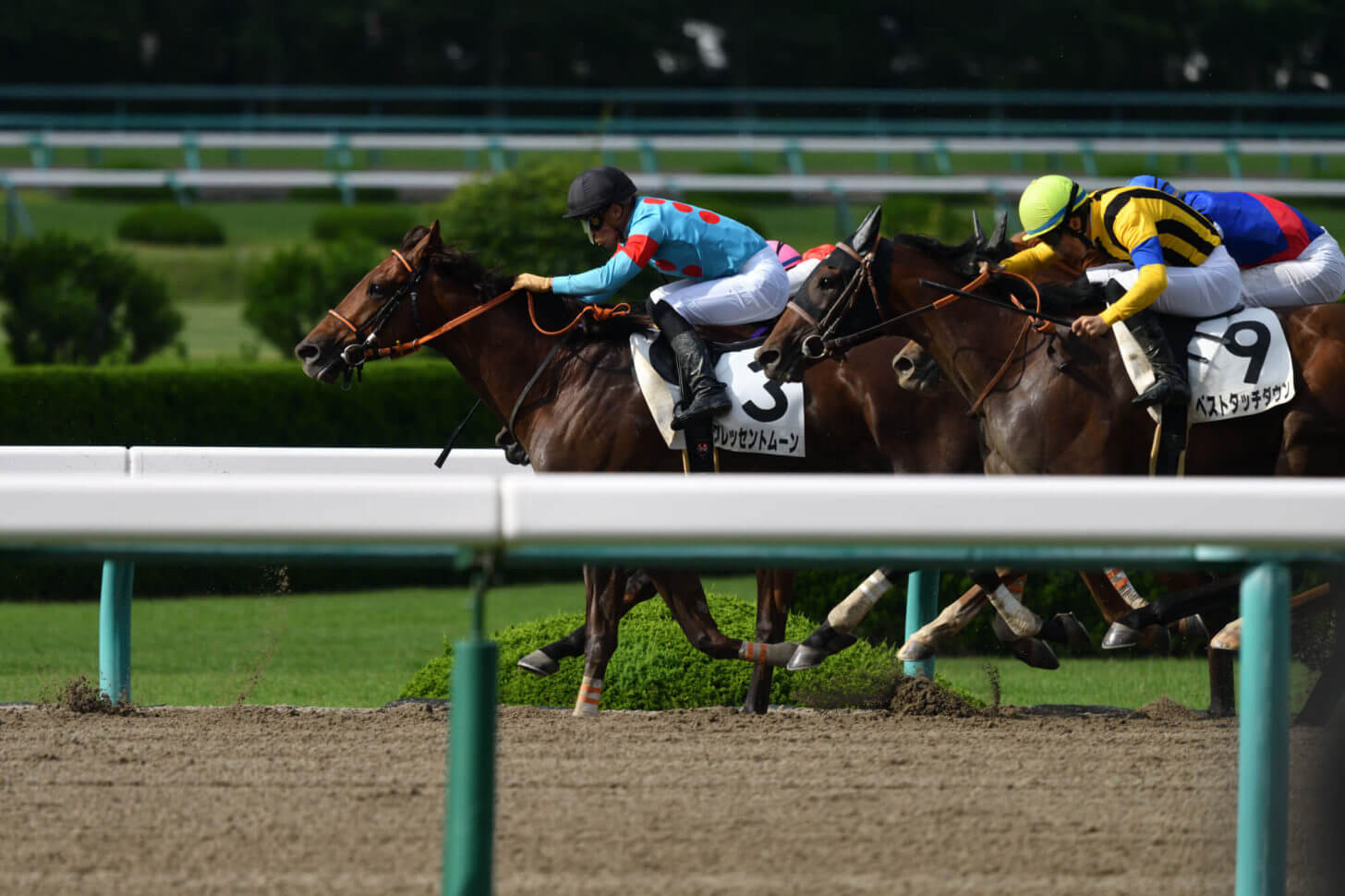 クレッセントムーン4戦目レース写真