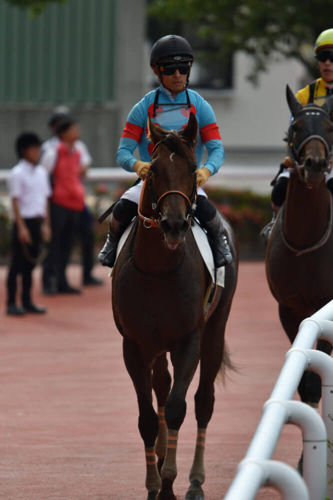 クレッセントムーン4戦目レース後