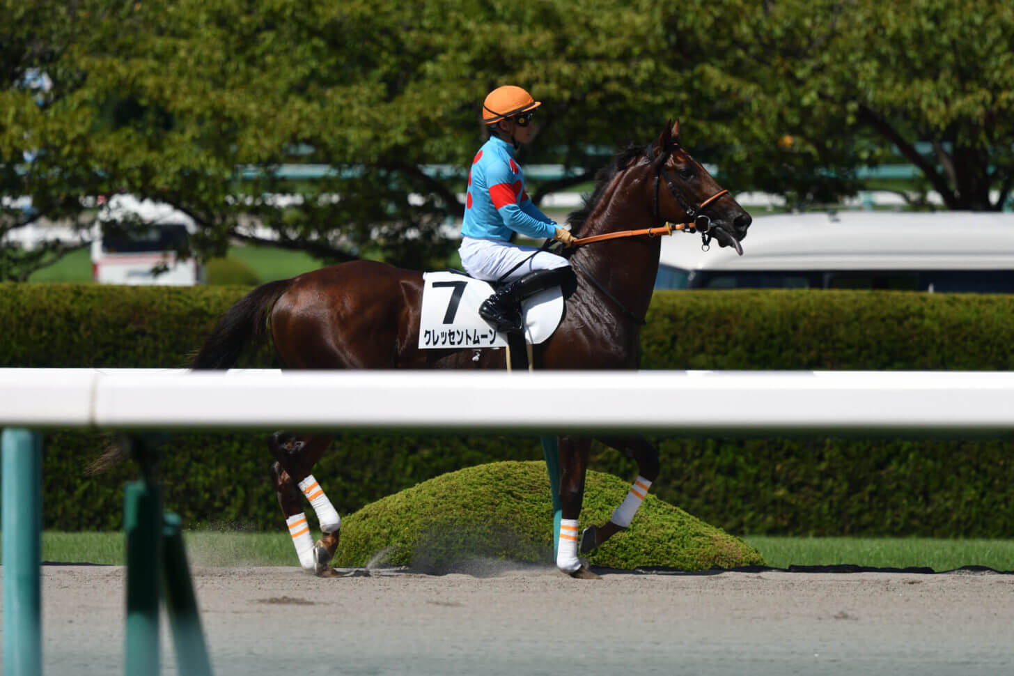 クレッセントムーン6戦目返し馬