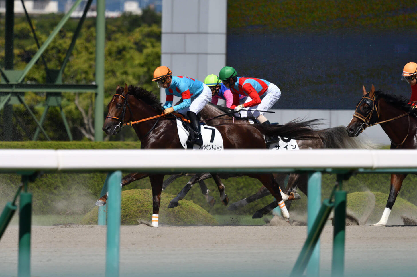 クレッセントムーン6戦目レース写真