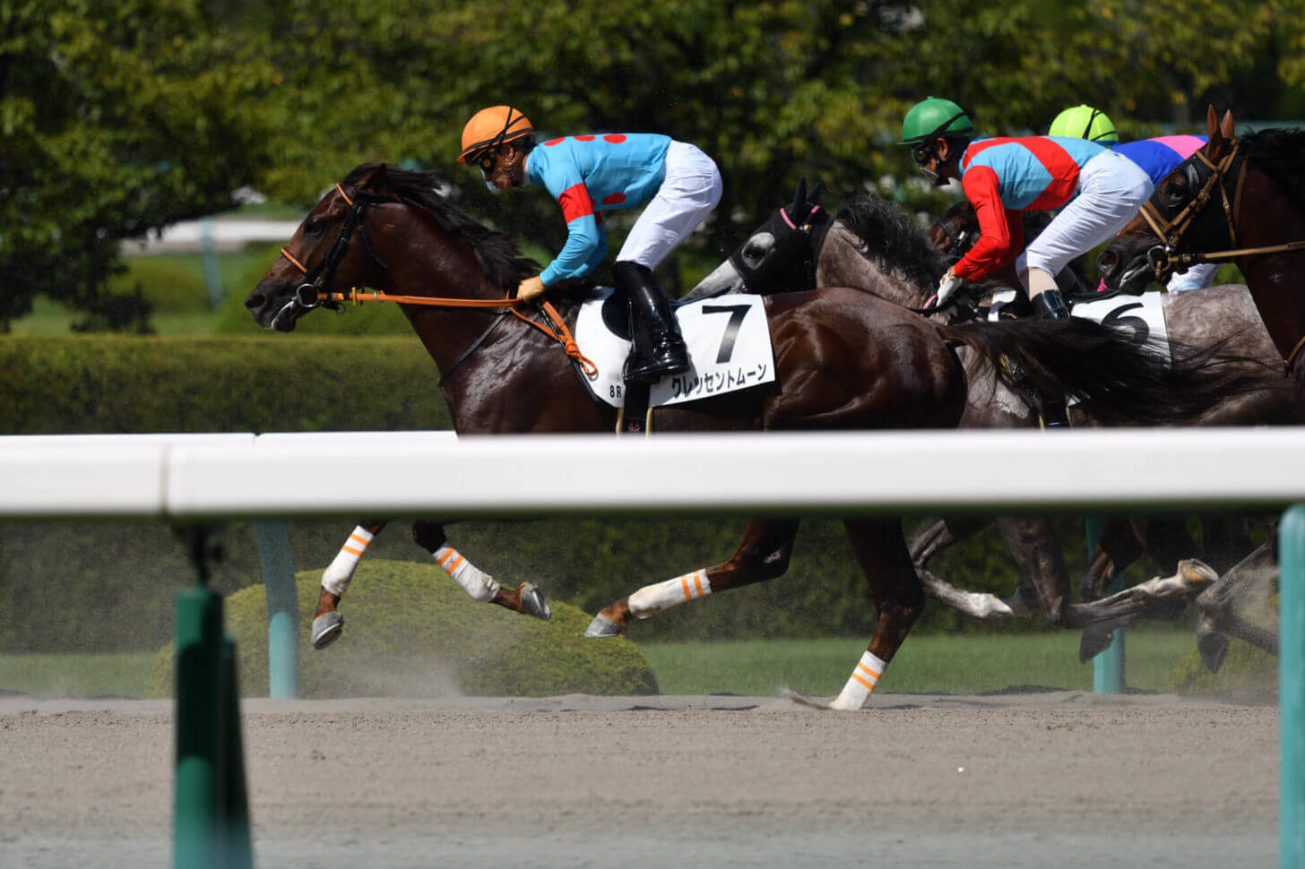 クレッセントムーン6戦目レース写真