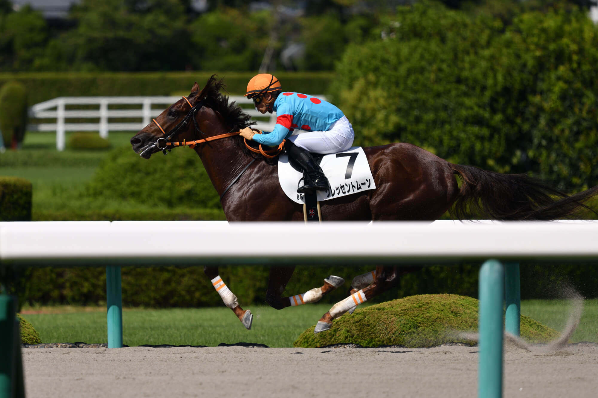 クレッセントムーン6戦目レース写真