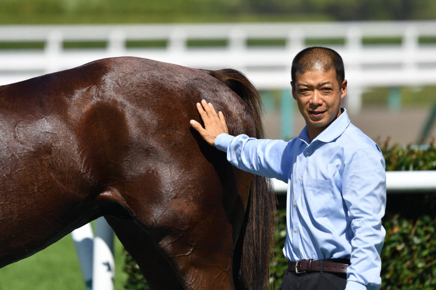 クレッセントムーン6戦目口取り写真