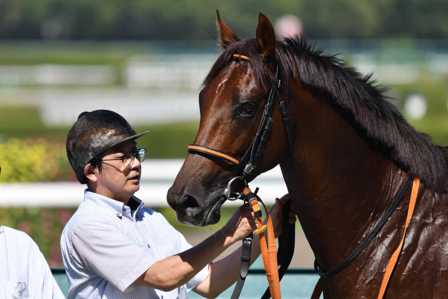 クレッセントムーン6戦目口取り写真