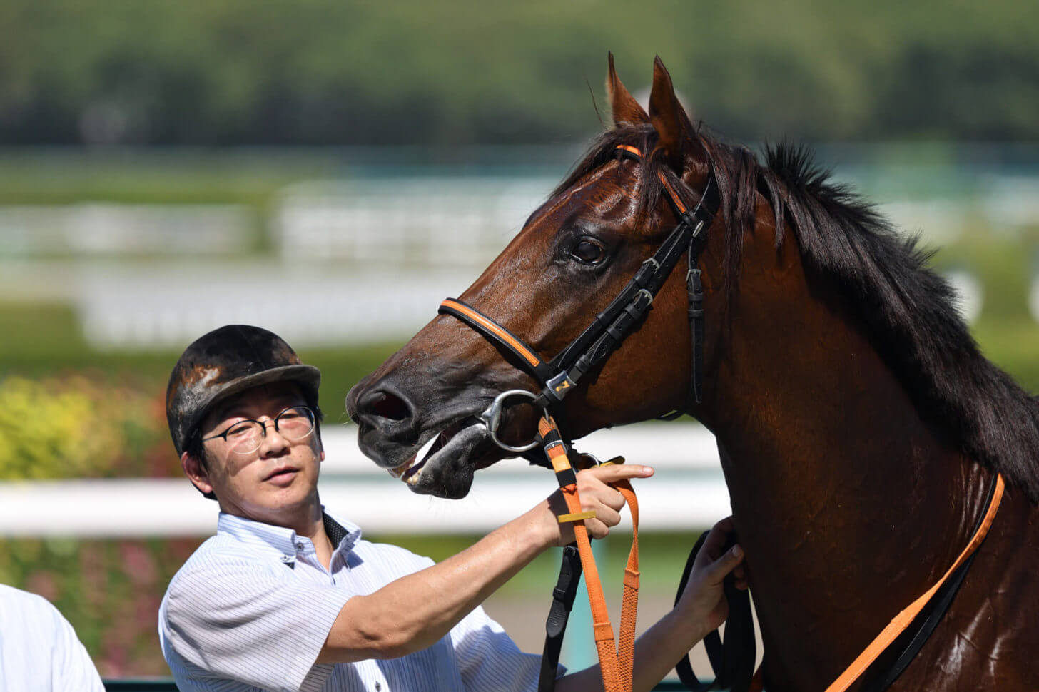 クレッセントムーン6戦目口取り写真