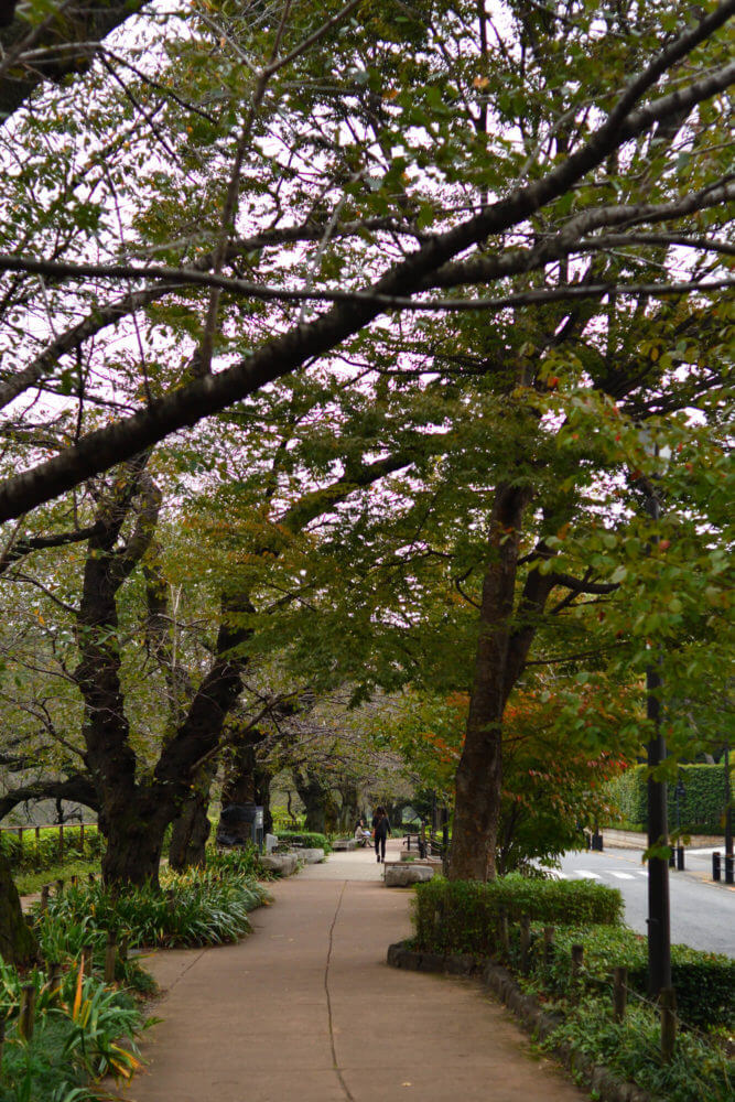 千鳥ヶ淵公園